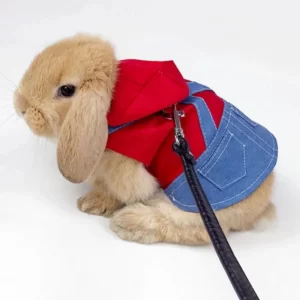 Outdoor Pet Dress